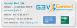 G3V CONSEIL